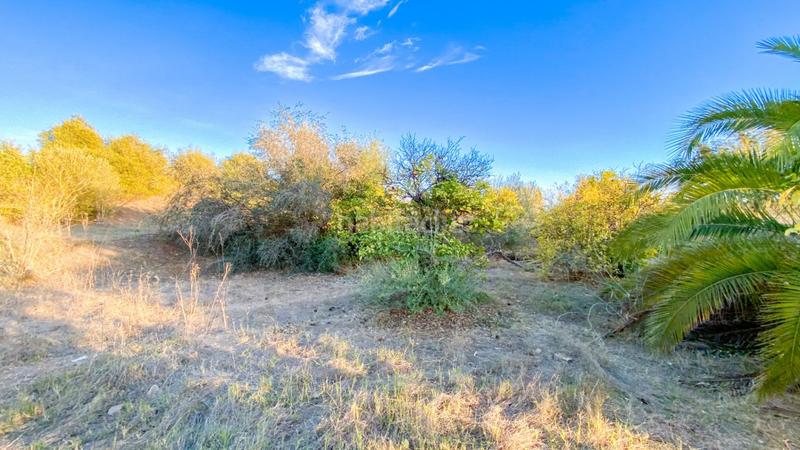 Foto 09b6ec7f-98f0-4f19-bc46-625c3529e750. Area edificabile industriale in calle de romerito 2 in Málaga