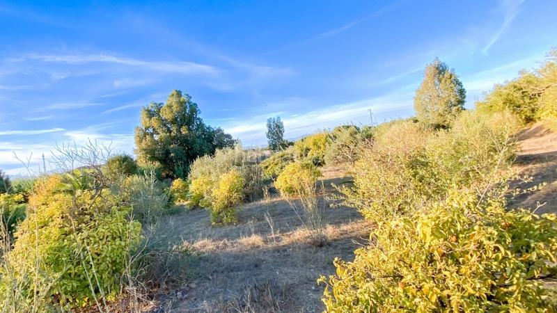 Foto 388c0dcd-a07f-41c4-b1c0-d6454a0306d2. Area edificabile industriale in calle de romerito 2 in Málaga