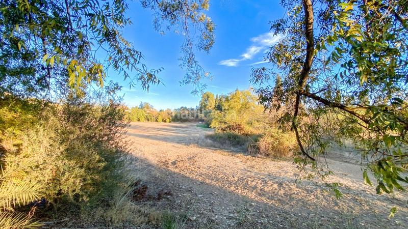 Foto 60aa399b-0840-4a3d-a3e6-22c8c9bfa926. Area edificabile industriale in calle de romerito 2 in Málaga