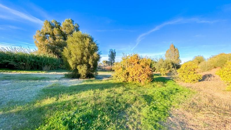 Foto d2f7c1f9-e854-465e-a8d7-b8d468aab216. Area edificabile industriale in calle de romerito 2 in Málaga