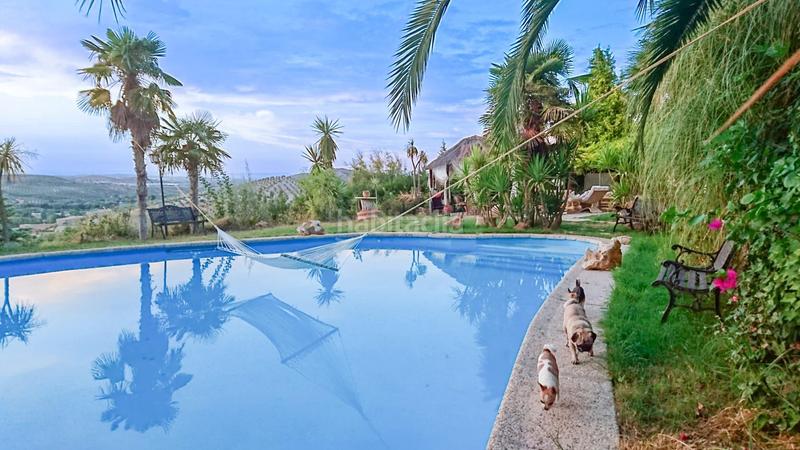 Foto 9cfeeb9b-a2e8-4864-ba5c-6b853f06345c. Xalet a calle ds tenteson bellavista 23196 jaen (Jaén) a Jaén