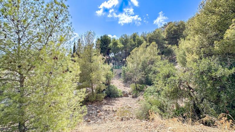 Foto 415600aa-5794-4272-9a1d-1ac0f36e12bf. Wohngrundstück in calle stradivarius 17 in Jarazmin Málaga