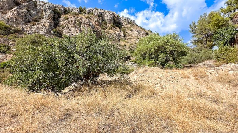 Foto 6ee49277-5234-4a45-9b15-92edaa065c0f. Wohngrundstück in calle stradivarius 17 in Jarazmin Málaga