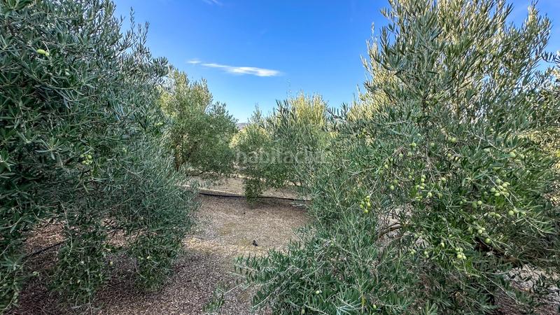 Foto 1971f923-6b0e-40e5-afd9-abfe454c39cc. Terreno residenziale in carretera coín 1 in Centro Alhaurín el Grande