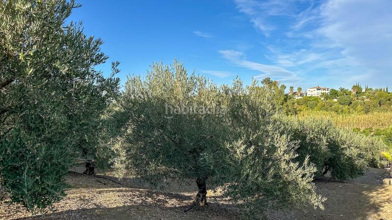 Foto 25f8b568-9776-4788-9776-e55aa6e12d33. Terreno residenziale in carretera coín 1 in Centro Alhaurín el Grande