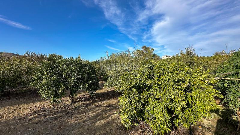 Foto 561bc522-a8ea-43c9-836d-1a89296a2aa8. Terreno residenziale in carretera coín 1 in Centro Alhaurín el Grande
