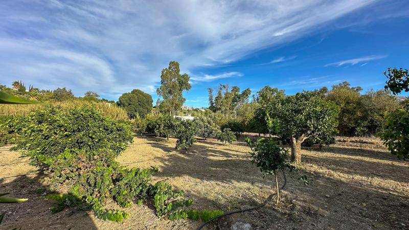 Foto 693eb68b-0844-4b1b-862f-8db80a79c041. Terreno residenziale in carretera coín 1 in Centro Alhaurín el Grande