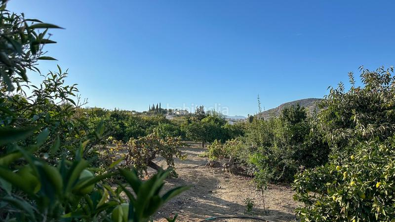 Foto 8da393e8-b317-4d03-8c24-5586de19dfed. Terreno residenziale in carretera coín 1 in Centro Alhaurín el Grande
