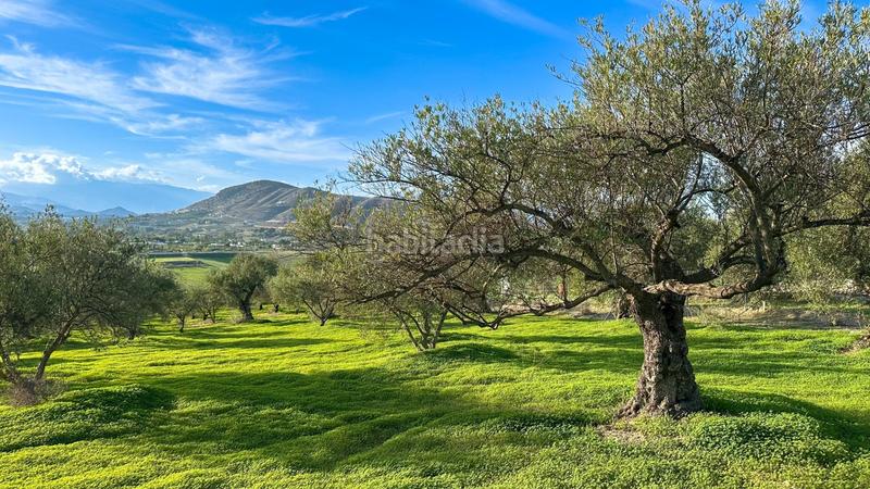 Foto 32411c5e-c01d-4b77-8d48-1cf255bb801a. Terrain résidentiel dans polígono polígono 26 parcela 96 26 dans Alhaurín el Grande