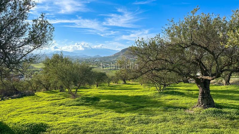 Foto 43cbf123-cf3b-4bac-9f71-ae7a7fa65816. Terrain résidentiel dans polígono polígono 26 parcela 96 26 dans Alhaurín el Grande