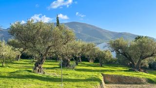 Terreny residencial a Centro. Finca en majada vieja, alhaurín el grande