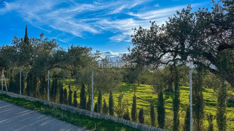 Foto 8004e1cf-fe87-435e-9aef-e05dc3222724. Terrain résidentiel dans polígono polígono 26 parcela 96 26 dans Alhaurín el Grande