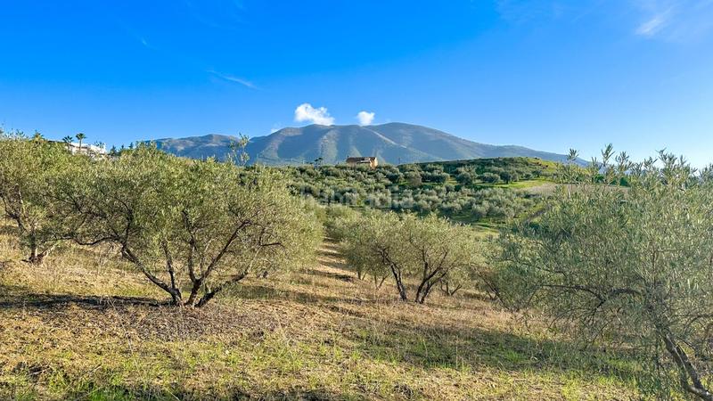 Foto bd04cccf-2082-4726-9305-92338c1ba4b6. Terrain résidentiel dans polígono polígono 26 parcela 96 26 dans Alhaurín el Grande