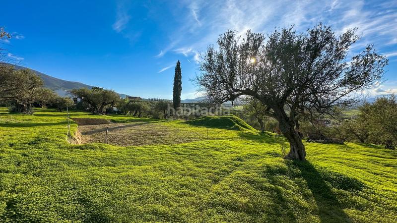 Foto d5140b66-0a45-464d-ae16-ea145b9ffa59. Terrain résidentiel dans polígono polígono 26 parcela 96 26 dans Alhaurín el Grande