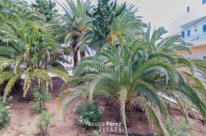 Foto 26ad65a1-0878-4f35-8d93-6004c8f23d84. Etagenwohnung in grupo san josé artesano 2 in Gáldar pueblo Gáldar