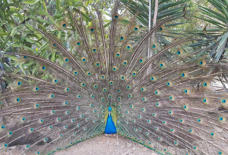 Foto 27f1eff9-0fd1-40c9-8ff8-1f46be07db88. Casa in vial camino 1 in San Bartolomé Interior San Bartolomé de Tirajana