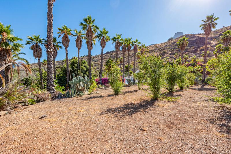 Foto 076bae0d-c143-4d5e-ad0c-a999b7fc4e05. House in vial camino 1 in San Bartolomé Interior San Bartolomé de Tirajana