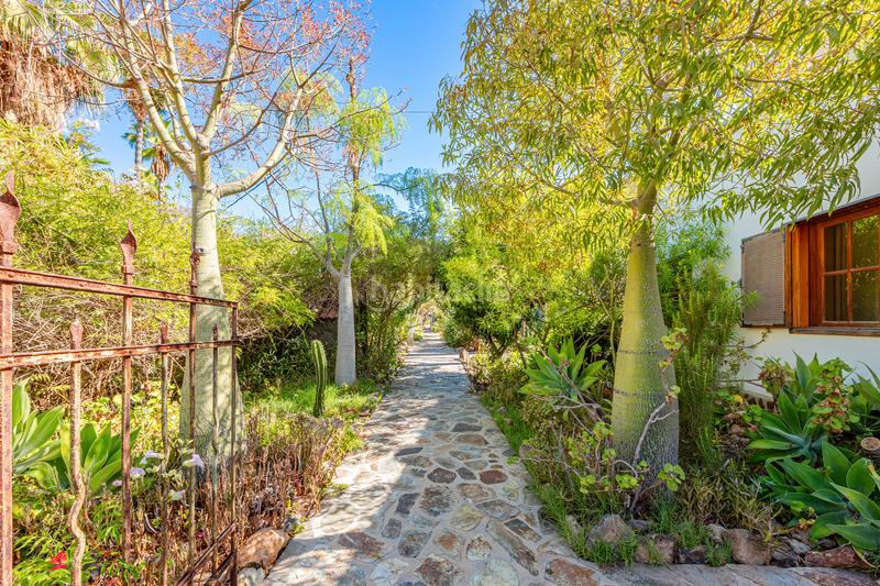 Foto 143b19f3-dbbb-47bb-a6b6-a077b5ad469b. House in vial camino 1 in San Bartolomé Interior San Bartolomé de Tirajana
