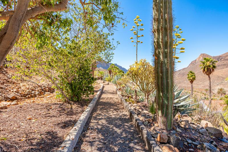 Foto 96269f58-c534-48cc-9a02-ce332bb58229. House in vial camino 1 in San Bartolomé Interior San Bartolomé de Tirajana