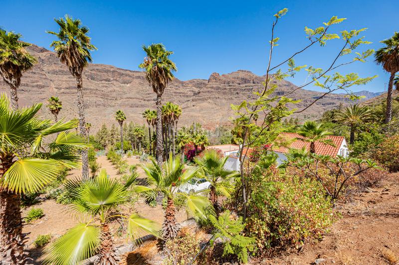Foto c1eea700-53ee-4803-9d03-52a804fbe05c. House in vial camino 1 in San Bartolomé Interior San Bartolomé de Tirajana