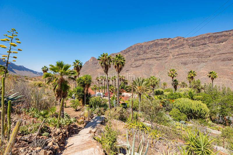 Foto 509ca006-086f-4b40-982c-62f819ea6d71. Maison dans vial camino 1 dans San Bartolomé Interior San Bartolomé de Tirajana