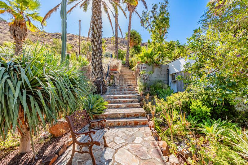 Foto 709992f1-7c58-4ac9-8b9b-8e8912aa111c. Maison dans vial camino 1 dans San Bartolomé Interior San Bartolomé de Tirajana