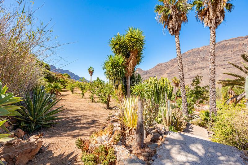 Foto d7ef4a75-8d18-4111-953b-7a5cce041f68. Maison dans vial camino 1 dans San Bartolomé Interior San Bartolomé de Tirajana