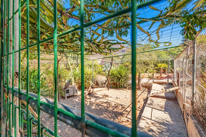 Foto e0169779-3be4-4526-9719-b3fd231c2503. Maison dans vial camino 1 dans San Bartolomé Interior San Bartolomé de Tirajana