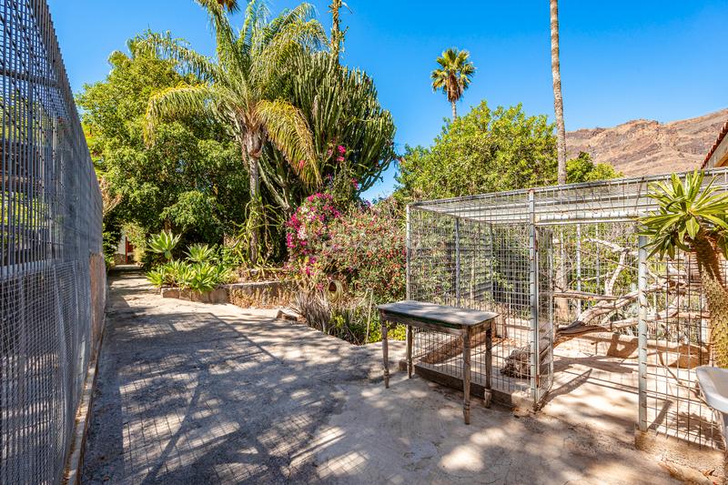 Foto ed07b1b3-dd52-4e30-9e17-c3040ae5063f. Maison dans vial camino 1 dans San Bartolomé Interior San Bartolomé de Tirajana