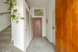 Piso  Calle inés chemida