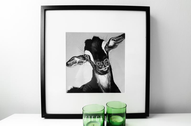 Foto 63773d64-d597-4861-98e9-f8d852cb45c6. Alquiler piso en Bañaderos - El Puertillo - San Andrés Arucas