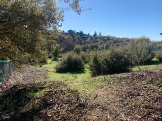 Terreny residencial  Calle de berlín
