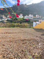 Terreno residencial en Calle pino rivero s/n