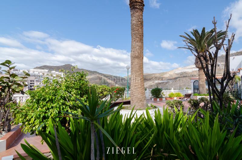 Foto 4b0fec74-1347-4723-ae9f-d0d9b3993e05. Miete haus mit pool in Arguineguín Mogán