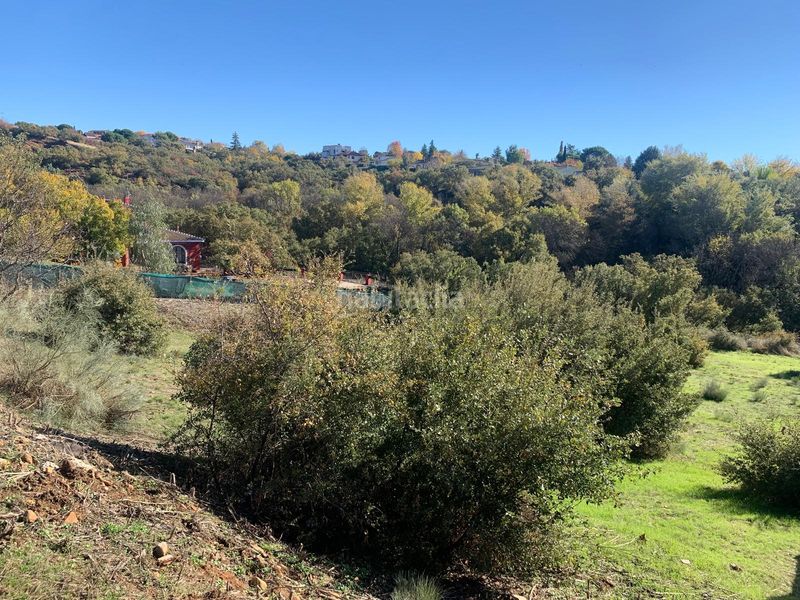 Foto a0b0a8b6-8fca-46eb-9e6e-c43823439068. Casa amb aparcament a Uceda