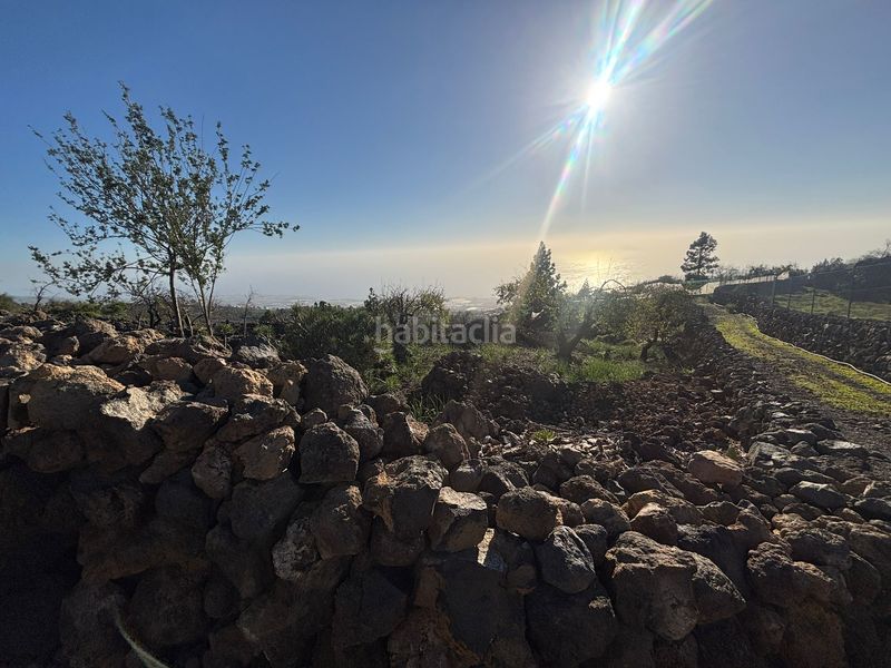 Foto eeadf602-640d-4f57-aaad-b0ea0781df98. Finca rústica a Chío Guía de Isora