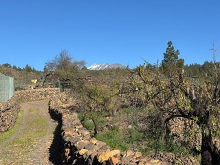 Terreno residenziale  Tf-38