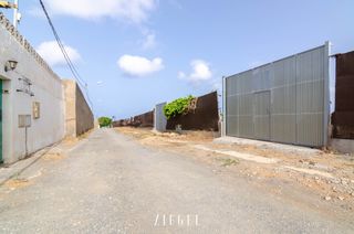Finca rústica a Carretera jerez las huesas 35