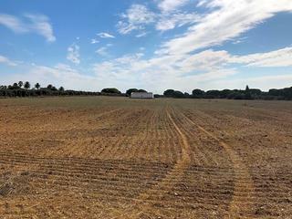 Terreny residencial  La chacona. Si buscas un lugar donde respirar aire puro, este es tu sitio.
