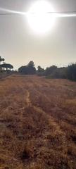 Wohngrundstück in Los Franceses - La Vega. Mj-0567 parcela segregada - marquesado