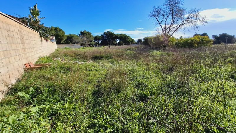 Foto daeb1176-e4c8-4213-8b60-db61e4de3afa. Finca rústica a Las Lagunas - Campano Chiclana de la Frontera
