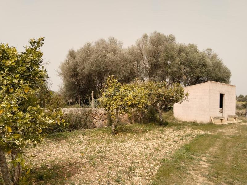 Foto f12e97c1-2764-4d00-b0c3-ca38f9a65f05. Chalet avec parking dans Felanitx poble Felanitx