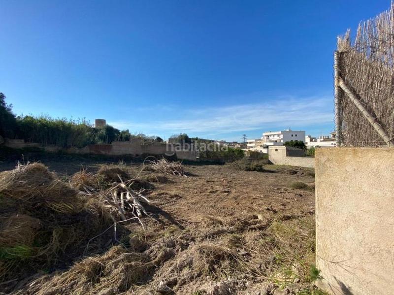 Foto 5a3bb033-866d-4328-ba1b-02bd1d3d76c7. Terreno residenziale in Felanitx poble Felanitx