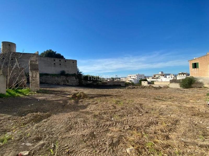 Foto 5be19618-fd49-4d76-a4e0-315858706865. Terreno residenziale in Felanitx poble Felanitx