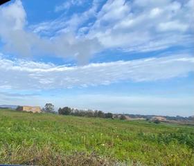 Propriété à Manacor Centre. Finca rústica edificable en manacor