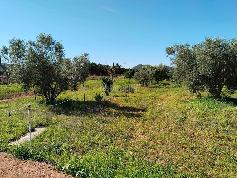 Foto 24300a6a-530d-4566-a6f7-fd1128de077a. Casa amb calefacció a Felanitx poble Felanitx