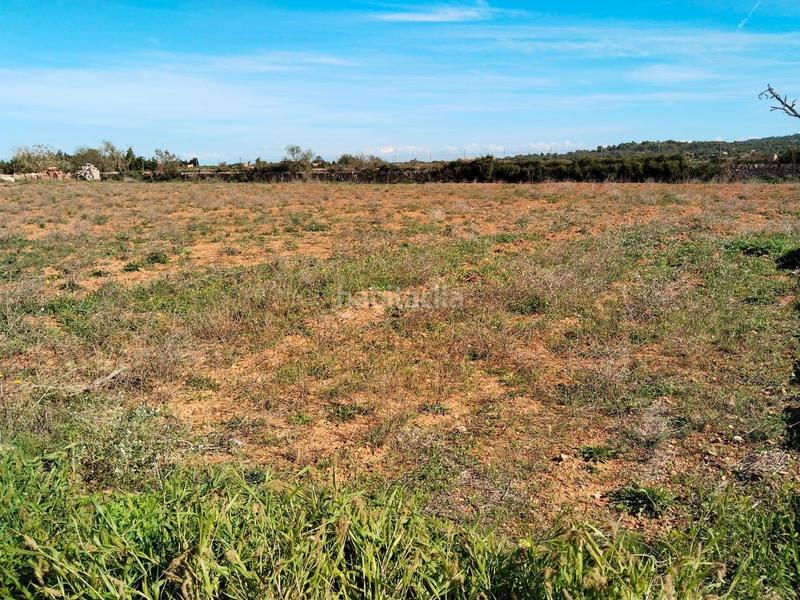 Foto 78ec44b3-5651-4821-aa4c-6bdd73c5af0a. Casa amb calefacció a Felanitx poble Felanitx