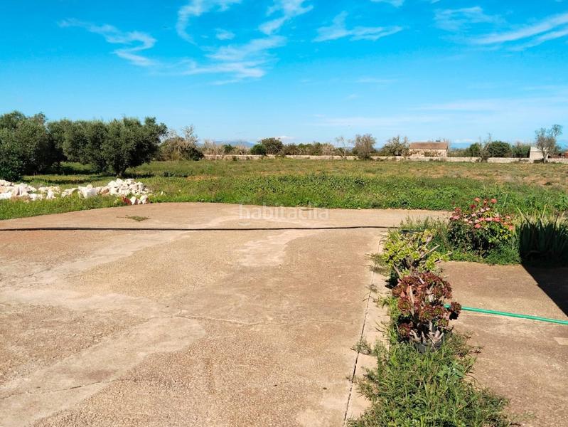 Foto 816388dc-a6e3-4123-a207-68e771062fa1. Casa amb calefacció a Felanitx poble Felanitx