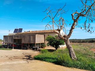 Casa a Felanitx Poble. Casa en el campo cerca de felanitx