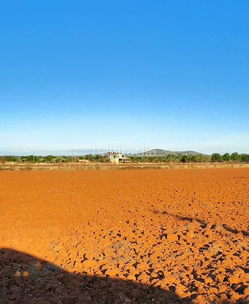 Foto de894d47-aa94-462a-b703-730ef8ecee23. Finca rústica a Felanitx poble Felanitx